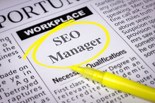 Reasons Your Business Needs Professional SEO Services in San Diego, CA